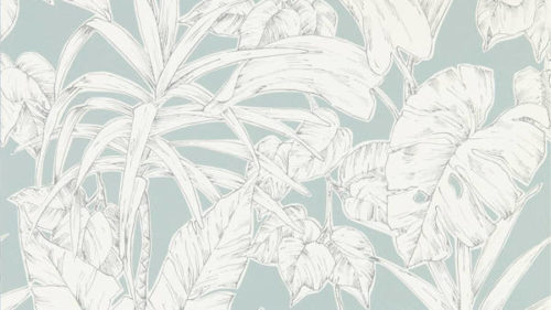 Parlour Palm 112025